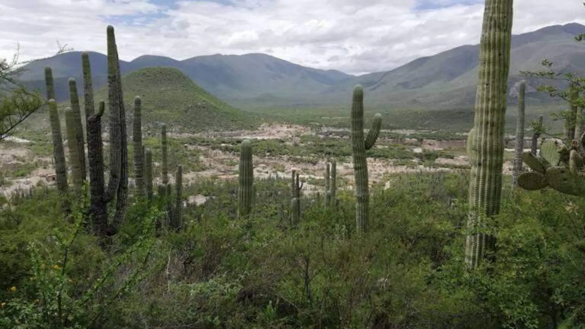 Niegan permisos para construcción de complejo habitacional en la Biosfera de Tehuacán